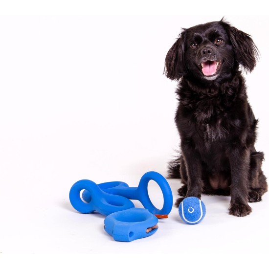 Ubbi Tennis Balls for Dogs, Interactive and Durable Fetch Toy for Medium Dog Breeds, Blue and Charcoal Pack of 4 Ubbi Tennis Balls for Dogs, Interactive and Durable Fetch Toy for Medium Dog Breeds, Blue and Charcoal Pack of 4