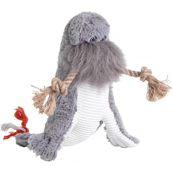 Under the Sea Walrus