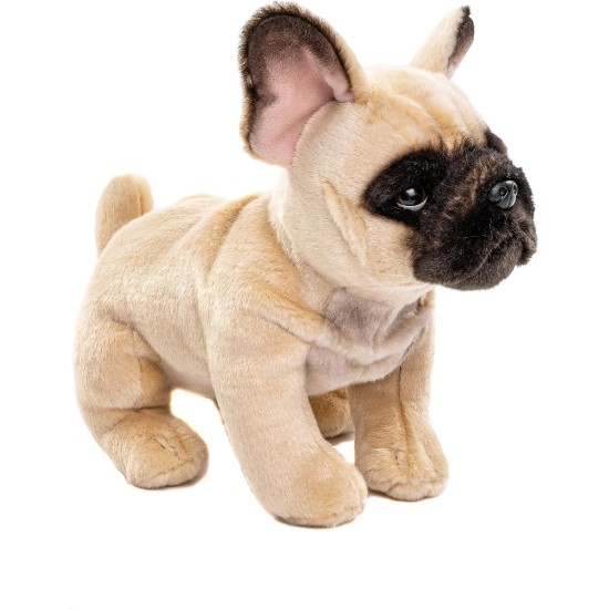 Uni-Toys - French Bulldog (Beige) with Lead - 27 cm (Length) - Plush Dog, Great Dane Pet - Plush Toy, Cuddly Toy Uni-Toys - French Bulldog (Beige) with Lead - 27 cm (Length) - Plush Dog, Great Dane Pet - Plush Toy, Cuddly Toy