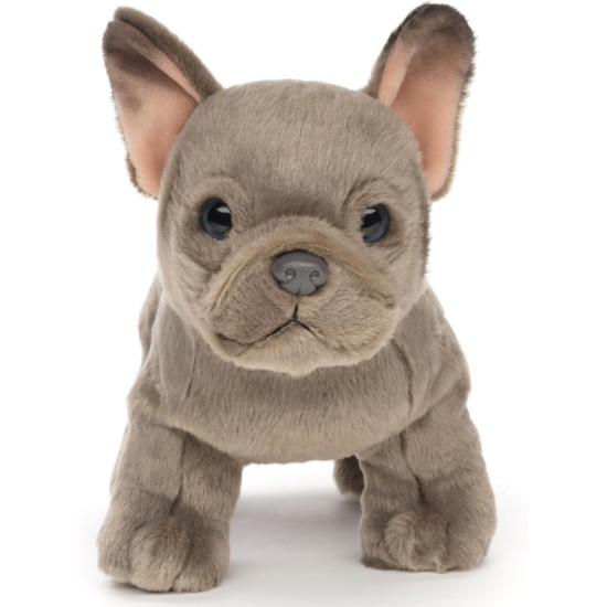 Uni-Toys - French Bulldog (Beige) with Lead - 27 cm (Length) - Plush Dog, Great Dane Pet - Plush Toy, Cuddly Toy Uni-Toys - French Bulldog (Beige) with Lead - 27 cm (Length) - Plush Dog, Great Dane Pet - Plush Toy, Cuddly Toy