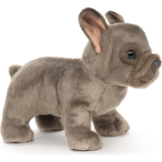 Uni-Toys - French Bulldog (Beige) with Lead - 27 cm (Length) - Plush Dog, Great Dane Pet - Plush Toy, Cuddly Toy Uni-Toys - French Bulldog (Beige) with Lead - 27 cm (Length) - Plush Dog, Great Dane Pet - Plush Toy, Cuddly Toy