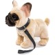 Uni-Toys - French Bulldog (Beige) with Lead - 27 cm (Length) - Plush Dog, Great Dane Pet - Plush Toy, Cuddly Toy Uni-Toys - French Bulldog (Beige) with Lead - 27 cm (Length) - Plush Dog, Great Dane Pet - Plush Toy, Cuddly Toy