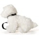 Uni-Toys - Maltese (with lead) - 26 cm (length) - plush dog, pet - plush toy, cuddly toy Uni-Toys - Maltese (with lead) - 26 cm (length) - plush dog, pet - plush toy, cuddly toy