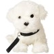Uni-Toys - Maltese (with lead) - 26 cm (length) - plush dog, pet - plush toy, cuddly toy Uni-Toys - Maltese (with lead) - 26 cm (length) - plush dog, pet - plush toy, cuddly toy