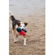 Vehicles Hetty the Helicopter Plush Dog Toy Vehicles Hetty the Helicopter Plush Dog Toy