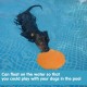 Vivifying Dog Frisbee, Set of 2, 18-cm Dog Frisbee Made of Natural Rubber for Land and Water Vivifying Dog Frisbee, Set of 2, 18-cm Dog Frisbee Made of Natural Rubber for Land and Water