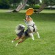 Vivifying Dog Frisbee, Set of 2, 18-cm Dog Frisbee Made of Natural Rubber for Land and Water Vivifying Dog Frisbee, Set of 2, 18-cm Dog Frisbee Made of Natural Rubber for Land and Water