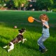Vivifying Dog Frisbee, Set of 2, 18-cm Dog Frisbee Made of Natural Rubber for Land and Water Vivifying Dog Frisbee, Set of 2, 18-cm Dog Frisbee Made of Natural Rubber for Land and Water