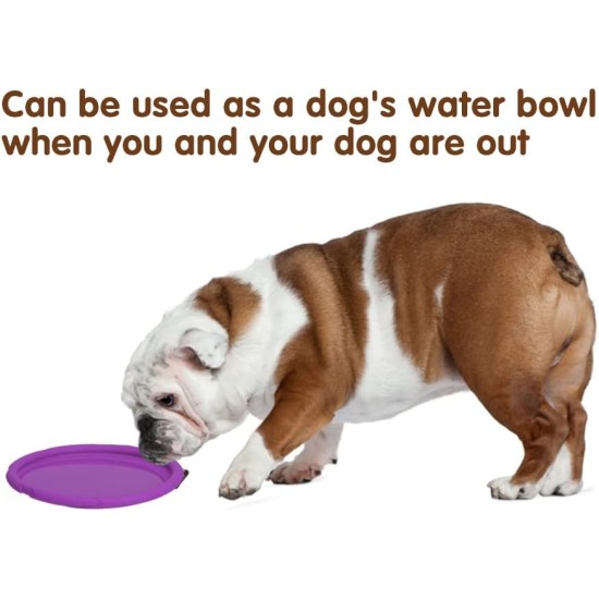 Vivifying Dog Frisbee, Set of 2, 18-cm Dog Frisbee Made of Natural Rubber for Land and Water Vivifying Dog Frisbee, Set of 2, 18-cm Dog Frisbee Made of Natural Rubber for Land and Water