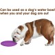 Vivifying Dog Frisbee, Set of 2, 18-cm Dog Frisbee Made of Natural Rubber for Land and Water Vivifying Dog Frisbee, Set of 2, 18-cm Dog Frisbee Made of Natural Rubber for Land and Water