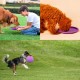 Vivifying Dog Frisbee, Set of 2, 18-cm Dog Frisbee Made of Natural Rubber for Land and Water Vivifying Dog Frisbee, Set of 2, 18-cm Dog Frisbee Made of Natural Rubber for Land and Water