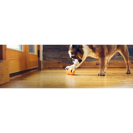 WEST PAW Zogoflex Qwizl Interactive Dog Treat Dispenser, Granny Smith, Small WEST PAW Zogoflex Qwizl Interactive Dog Treat Dispenser, Granny Smith, Small