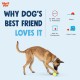 WEST PAW Zogoflex Toppl Treat Dispensing Dog Toy Puzzle - Interactive Chew Toy for Dogs - Dog Toy for Moderate Chewers, Fetch, Catch - Holds Dry Food, Treats, XL WEST PAW Zogoflex Toppl Treat Dispensing Dog Toy Puzzle - Interactive Chew Toy for Dogs - Dog Toy for Moderate Chewers, Fetch, Catch - Holds Dry Food, Treats, XL
