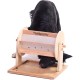 Wheel of Fortune - My Intelligent Dogs Interaktives Katzen- und Hundespielzeug aus Holz Intelligentes Spielzeug für Hunde und Katzen Wheel of Fortune - My Intelligent Dogs Interaktives Katzen- und Hundespielzeug aus Holz Intelligentes Spielzeug für Hunde und Katzen