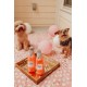 ZippyPaws Bottle Crusherz - Alligator | Squeaky Dog Toy with Bottle | Durable and Robust Plush Toy for Dogs | Promotes Chewing, Playing and Activity ZippyPaws Bottle Crusherz - Alligator | Squeaky Dog Toy with Bottle | Durable and Robust Plush Toy for Dogs | Promotes Chewing, Playing and Activity