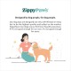 ZippyPaws Donutz Buddies - Frog | Squeaky Dog Toy in Donut Shape | Durable and Soft Plush Toy for Dogs | Perfect for Playing and Chewing | No Filling ZippyPaws Donutz Buddies - Frog | Squeaky Dog Toy in Donut Shape | Durable and Soft Plush Toy for Dogs | Perfect for Playing and Chewing | No Filling