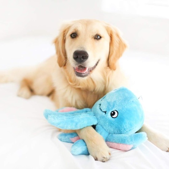 ZippyPaws Grunterz Oscar The Octopus Large Plush Dog Toy ZippyPaws Grunterz Oscar The Octopus Large Plush Dog Toy