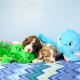 ZippyPaws Grunterz Oscar The Octopus Large Plush Dog Toy ZippyPaws Grunterz Oscar The Octopus Large Plush Dog Toy