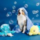 ZippyPaws Grunterz Oscar The Octopus Large Plush Dog Toy ZippyPaws Grunterz Oscar The Octopus Large Plush Dog Toy