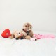 ZippyPaws Jigglerz® Duck ZippyPaws Jigglerz® Duck