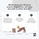 ZippyPaws Jigglerz® Duck ZippyPaws Jigglerz® Duck