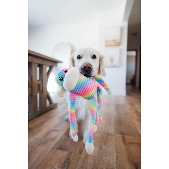 ZippyPaws Spencer the Crinkle Monkey - Large Rainbow, Box of 24 - Soft and Silent Dog Toy with Crinkle Sound, Promotes Fun and Exercise for Dogs of All Sizes ZippyPaws Spencer the Crinkle Monkey - Large Rainbow, Box of 24 - Soft and Silent Dog Toy with Crinkle Sound, Promotes Fun and Exercise for Dogs of All Sizes