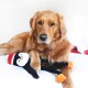 ZippyPaws Spencer the Crinkle Monkey - Large Rainbow, Box of 24 - Soft and Silent Dog Toy with Crinkle Sound, Promotes Fun and Exercise for Dogs of All Sizes ZippyPaws Spencer the Crinkle Monkey - Large Rainbow, Box of 24 - Soft and Silent Dog Toy with Crinkle Sound, Promotes Fun and Exercise for Dogs of All Sizes