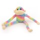 ZippyPaws Spencer the Crinkle Monkey - Large Rainbow, Box of 24 - Soft and Silent Dog Toy with Crinkle Sound, Promotes Fun and Exercise for Dogs of All Sizes ZippyPaws Spencer the Crinkle Monkey - Large Rainbow, Box of 24 - Soft and Silent Dog Toy with Crinkle Sound, Promotes Fun and Exercise for Dogs of All Sizes