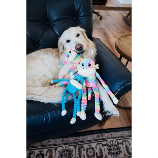 ZippyPaws Spencer the Crinkle Monkey - Large Rainbow, Box of 24 - Soft and Silent Dog Toy with Crinkle Sound, Promotes Fun and Exercise for Dogs of All Sizes ZippyPaws Spencer the Crinkle Monkey - Large Rainbow, Box of 24 - Soft and Silent Dog Toy with Crinkle Sound, Promotes Fun and Exercise for Dogs of All Sizes