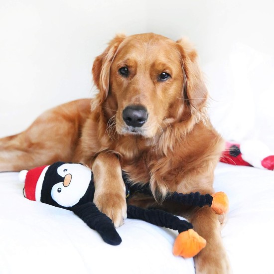 ZippyPaws Spencer the Crinkle Monkey - Large Rainbow, Box of 24 - Soft and Silent Dog Toy with Crinkle Sound, Promotes Fun and Exercise for Dogs of All Sizes ZippyPaws Spencer the Crinkle Monkey - Large Rainbow, Box of 24 - Soft and Silent Dog Toy with Crinkle Sound, Promotes Fun and Exercise for Dogs of All Sizes