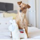 ZippyPaws Storybook Snugglerz Liam the Lama Dog Toy, Cuddly Plush Toy with Squeaker, Ideal for Small to Medium Dogs, 24 Pieces per Box