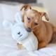 ZippyPaws Storybook Snugglerz Liam the Lama Dog Toy, Cuddly Plush Toy with Squeaker, Ideal for Small to Medium Dogs, 24 Pieces per Box