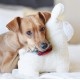 ZippyPaws Storybook Snugglerz Liam the Lama Dog Toy, Cuddly Plush Toy with Squeaker, Ideal for Small to Medium Dogs, 24 Pieces per Box