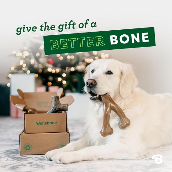 Benebone Durable Dog Chew Toy Box for Aggressive Chewers with Wishbone, Fishbone, Stick & Zaggler, Medium Benebone Durable Dog Chew Toy Box for Aggressive Chewers with Wishbone, Fishbone, Stick & Zaggler, Medium