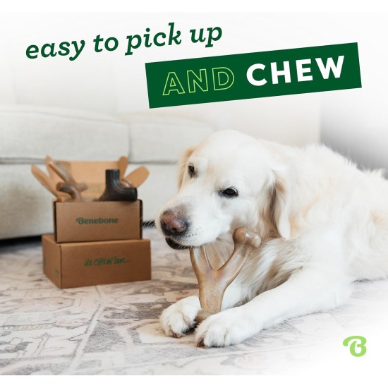 Benebone Durable Dog Chew Toy Box for Aggressive Chewers with Wishbone, Fishbone, Stick & Zaggler, Medium Benebone Durable Dog Chew Toy Box for Aggressive Chewers with Wishbone, Fishbone, Stick & Zaggler, Medium