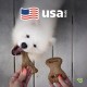 Benebone Durable Dog Chew Toy Box for Aggressive Chewers with Wishbone, Fishbone, Stick & Zaggler, Medium Benebone Durable Dog Chew Toy Box for Aggressive Chewers with Wishbone, Fishbone, Stick & Zaggler, Medium