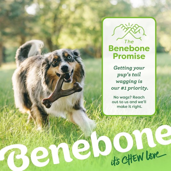 Benebone Durable Dog Chew Toy Box for Aggressive Chewers with Wishbone, Fishbone, Stick & Zaggler, Medium Benebone Durable Dog Chew Toy Box for Aggressive Chewers with Wishbone, Fishbone, Stick & Zaggler, Medium