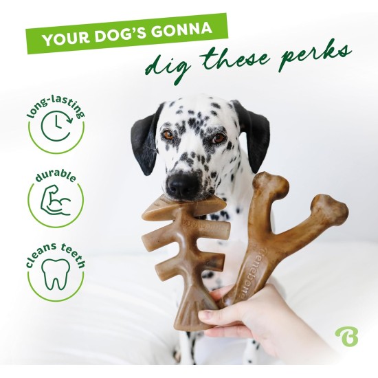 Benebone Durable Dog Chew Toy Box for Aggressive Chewers with Wishbone, Fishbone, Stick & Zaggler, Medium Benebone Durable Dog Chew Toy Box for Aggressive Chewers with Wishbone, Fishbone, Stick & Zaggler, Medium