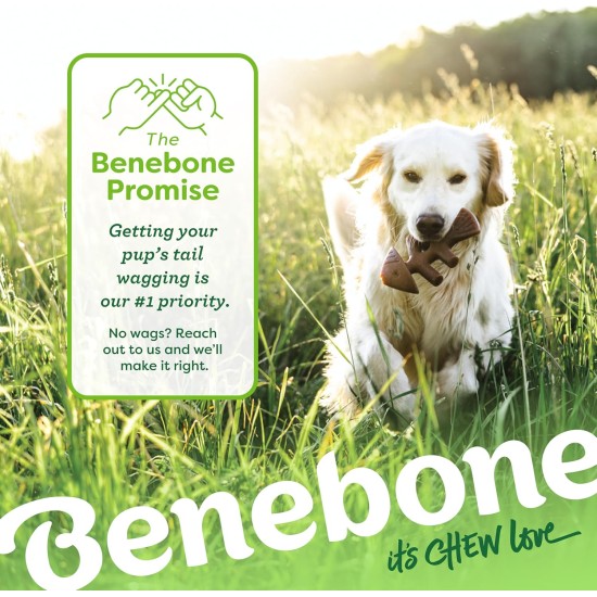 Benebone Durable Dog Chew Toy Box for Aggressive Chewers with Wishbone, Fishbone, Stick & Zaggler, Medium Benebone Durable Dog Chew Toy Box for Aggressive Chewers with Wishbone, Fishbone, Stick & Zaggler, Medium