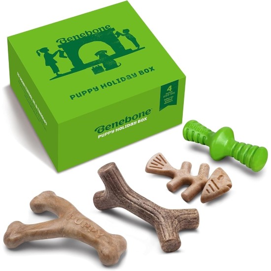 Benebone Durable Dog Chew Toy Box for Aggressive Chewers with Wishbone, Fishbone, Stick & Zaggler, Medium Benebone Durable Dog Chew Toy Box for Aggressive Chewers with Wishbone, Fishbone, Stick & Zaggler, Medium