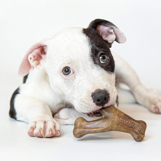 Benebone Durable Dog Chew Toy Box for Aggressive Chewers with Wishbone, Fishbone, Stick & Zaggler, Medium Benebone Durable Dog Chew Toy Box for Aggressive Chewers with Wishbone, Fishbone, Stick & Zaggler, Medium