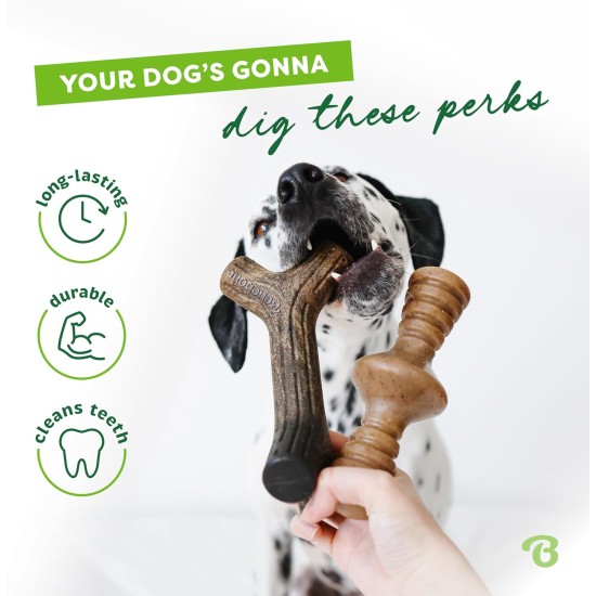 Benebone Durable Dog Chew Toy Box for Aggressive Chewers with Wishbone, Fishbone, Stick & Zaggler, Medium Benebone Durable Dog Chew Toy Box for Aggressive Chewers with Wishbone, Fishbone, Stick & Zaggler, Medium
