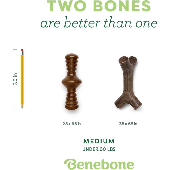 Benebone Durable Dog Chew Toy Box for Aggressive Chewers with Wishbone, Fishbone, Stick & Zaggler, Medium Benebone Durable Dog Chew Toy Box for Aggressive Chewers with Wishbone, Fishbone, Stick & Zaggler, Medium
