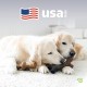 Benebone Durable Dog Chew Toy Box for Aggressive Chewers with Wishbone, Fishbone, Stick & Zaggler, Medium Benebone Durable Dog Chew Toy Box for Aggressive Chewers with Wishbone, Fishbone, Stick & Zaggler, Medium