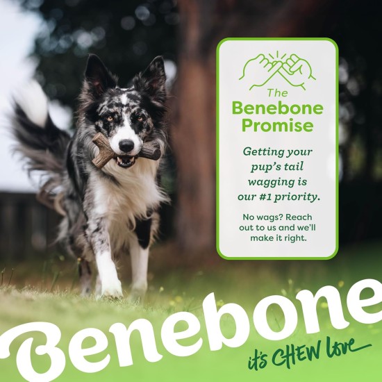 Benebone Durable Dog Chew Toy Box for Aggressive Chewers with Wishbone, Fishbone, Stick & Zaggler, Medium Benebone Durable Dog Chew Toy Box for Aggressive Chewers with Wishbone, Fishbone, Stick & Zaggler, Medium