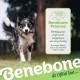 Benebone Durable Dog Chew Toy Box for Aggressive Chewers with Wishbone, Fishbone, Stick & Zaggler, Medium Benebone Durable Dog Chew Toy Box for Aggressive Chewers with Wishbone, Fishbone, Stick & Zaggler, Medium
