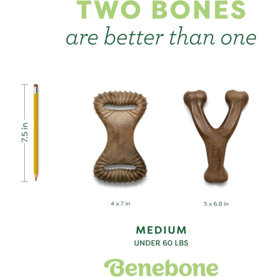 Benebone Durable Dog Chew Toy Box for Aggressive Chewers with Wishbone, Fishbone, Stick & Zaggler, Medium Benebone Durable Dog Chew Toy Box for Aggressive Chewers with Wishbone, Fishbone, Stick & Zaggler, Medium