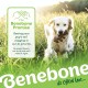 Benebone Durable Dog Chew Toy Box for Aggressive Chewers with Wishbone, Fishbone, Stick & Zaggler, Medium Benebone Durable Dog Chew Toy Box for Aggressive Chewers with Wishbone, Fishbone, Stick & Zaggler, Medium