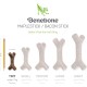 Benebone Durable Dog Chew Toy Box for Aggressive Chewers with Wishbone, Fishbone, Stick & Zaggler, Medium Benebone Durable Dog Chew Toy Box for Aggressive Chewers with Wishbone, Fishbone, Stick & Zaggler, Medium