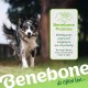 Benebone Durable Dog Chew Toy Box for Aggressive Chewers with Wishbone, Fishbone, Stick & Zaggler, Medium